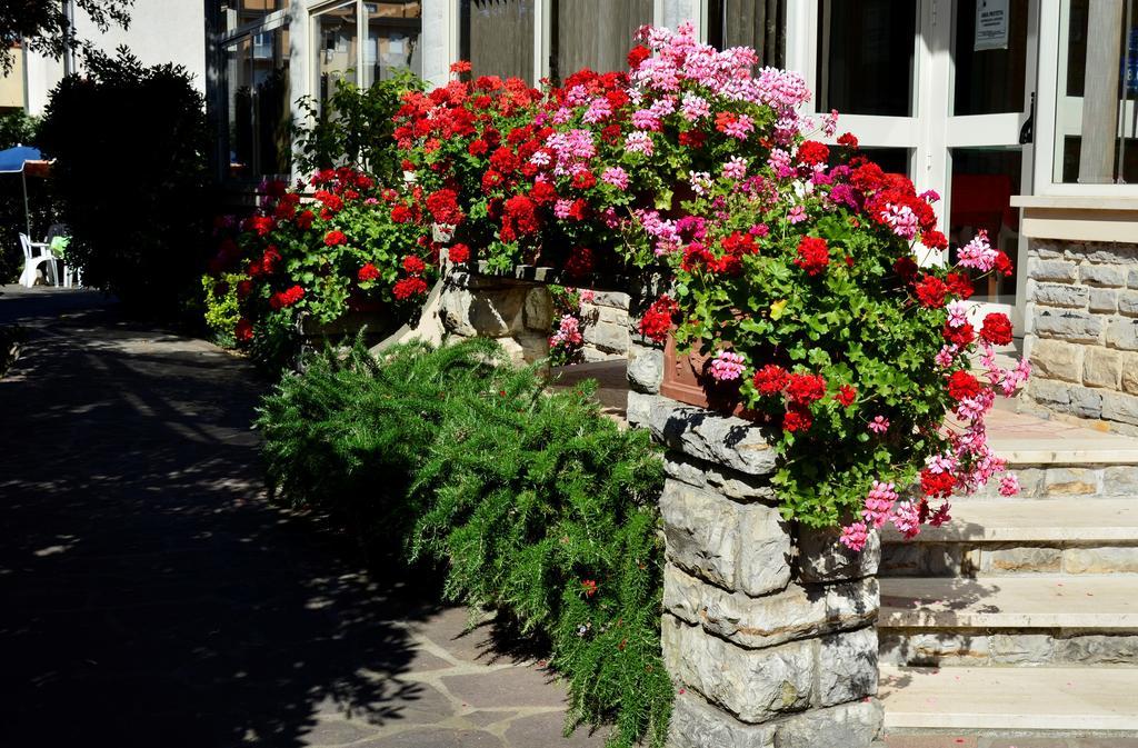 Hotel Puccinelli Lido di Camaiore Zewnętrze zdjęcie