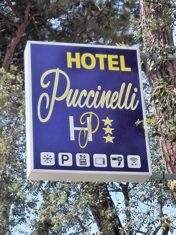 Hotel Puccinelli Lido di Camaiore Zewnętrze zdjęcie