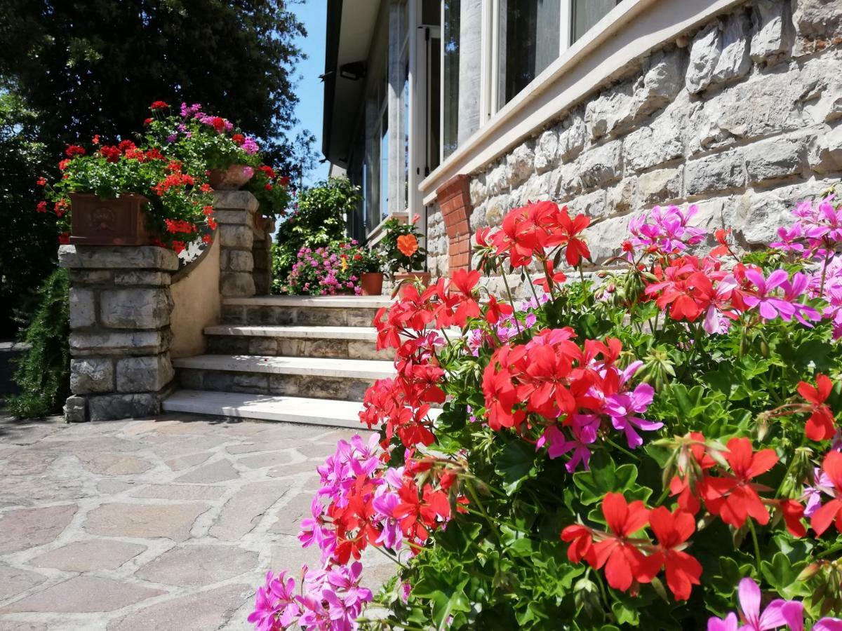 Hotel Puccinelli Lido di Camaiore Zewnętrze zdjęcie